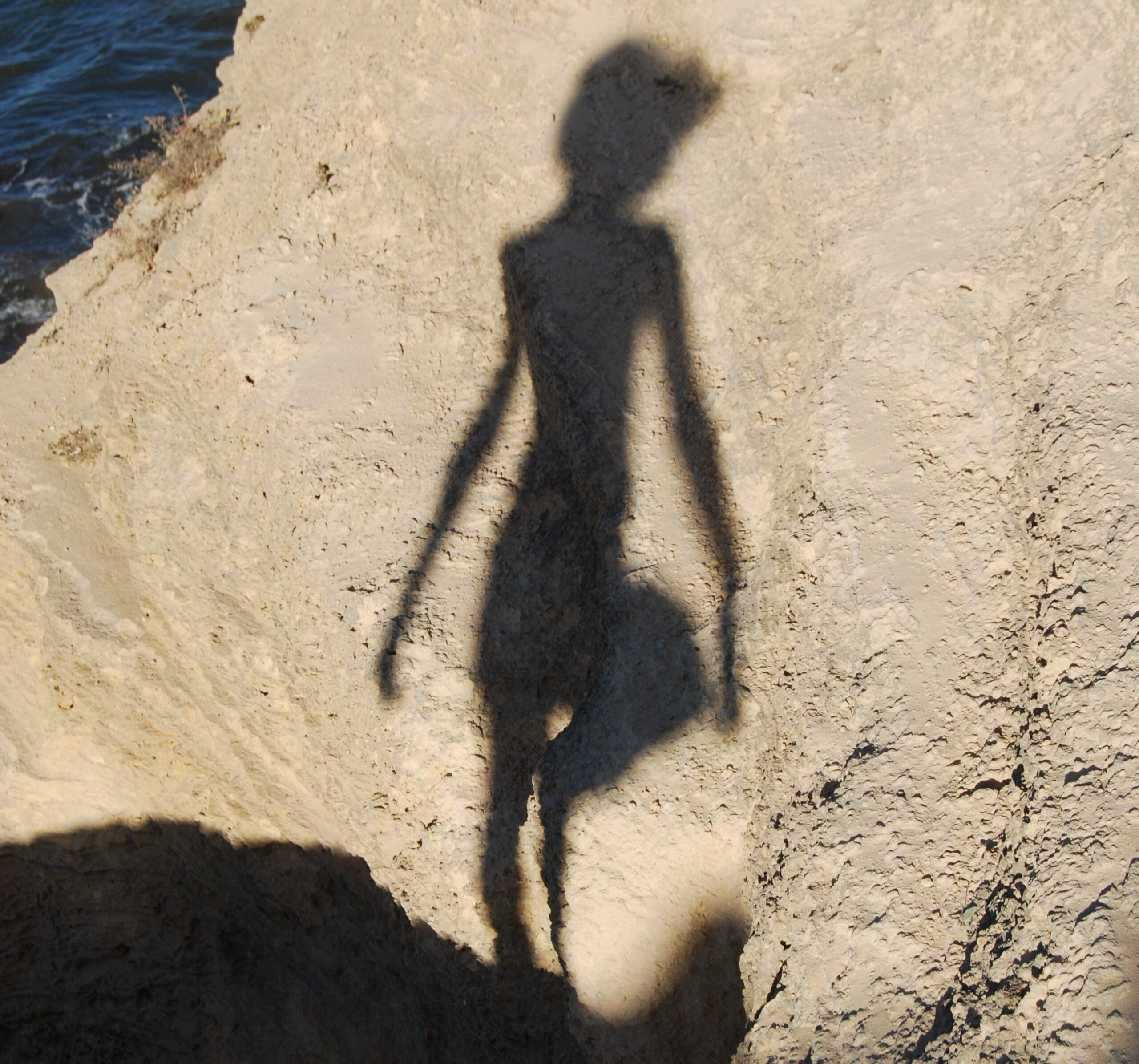 THE DOMESTICATION OF THE MIND ON THE STAGE OF LIFE